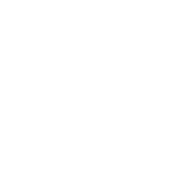 Acoid Logo
